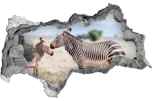 3d fali matrica lyuk a falban Zebrák a hegyekben