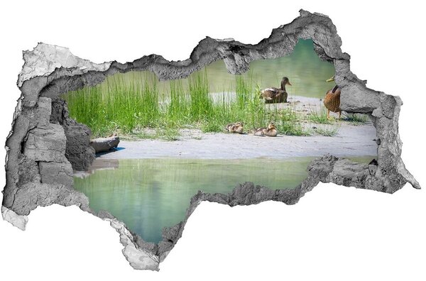 3d fali matrica lyuk a falban Kacsa víz