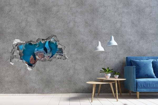 3d fali matrica lyuk a falban Delfinek