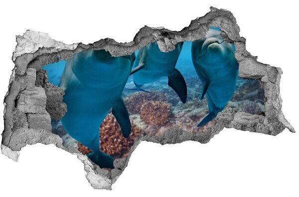 3d fali matrica lyuk a falban Delfinek