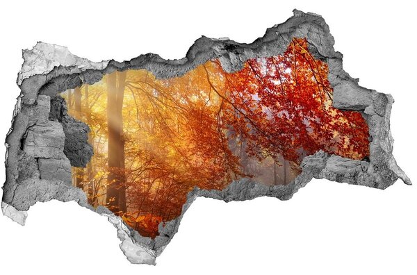 3d fali matrica lyuk a falban Őszi erdőben
