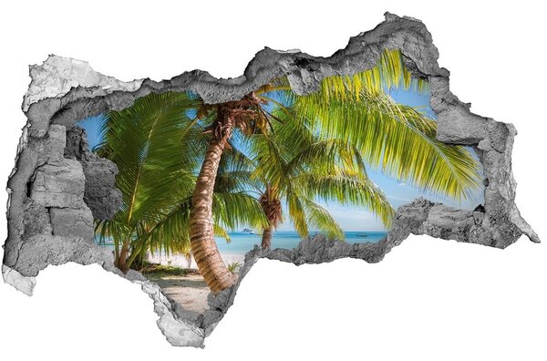 3d fali matrica lyuk a falban Trópusi tengerpart