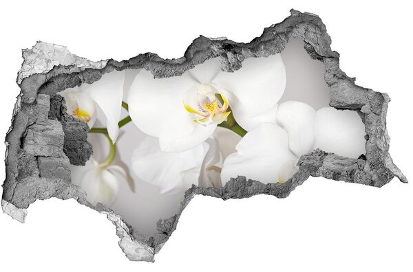 3d fali matrica lyuk a falban Orchidea