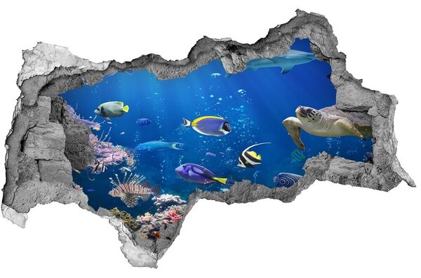 3d fali matrica lyuk a falban Korallzátony
