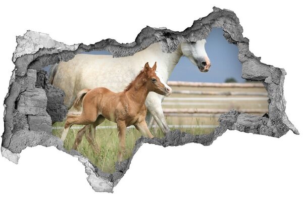 3d fali matrica lyuk a falban Kanca csikó