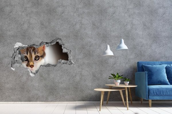 3d fali matrica lyuk a falban Kis macska matrica