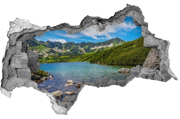 3d fali matrica lyuk a falban Tatra-völgy