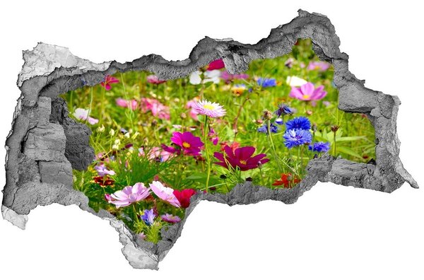 3d fali matrica lyuk a falban Field virágok
