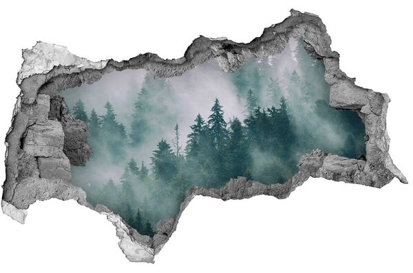 3d fali matrica lyuk a falban Köd az erdőben