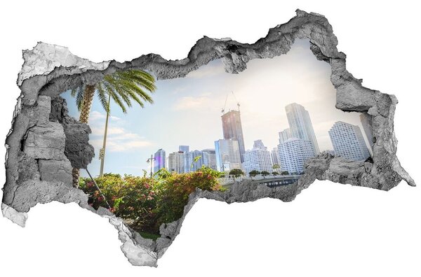 3d lyuk fal dekoráció Miami usa
