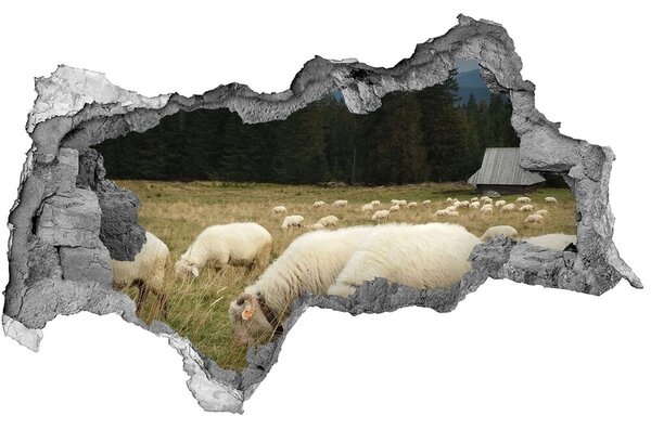 3d lyuk fal dekoráció Legeltetett juhok