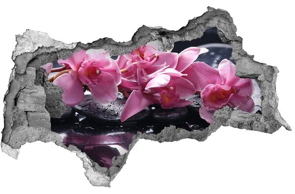 3d lyuk fal dekoráció Rózsaszín orchidea
