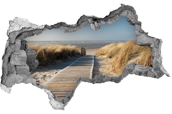 3d lyuk fal dekoráció Az útvonal a part