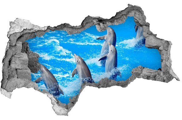 3d lyuk fal dekoráció Delfinek
