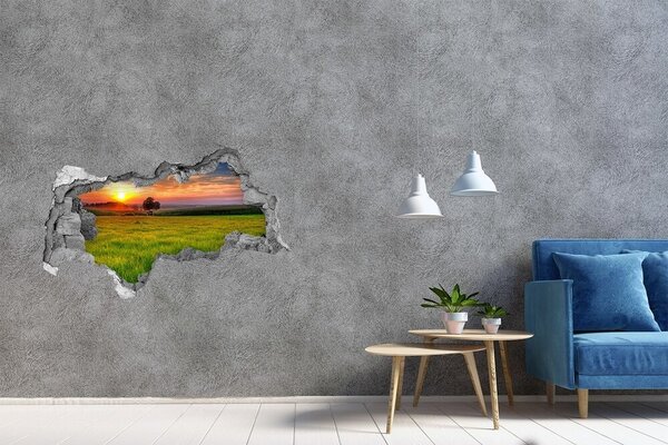 3d lyuk fal dekoráció Sunset meadow