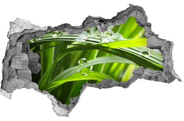 3d lyuk fal dekoráció Csepp a fű