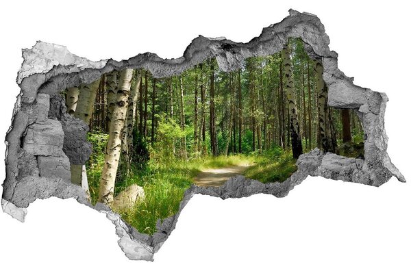 3d lyuk fal dekoráció Az út az erdőben