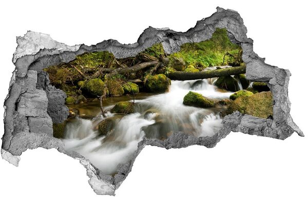3d lyuk fal dekoráció Potok olczyska