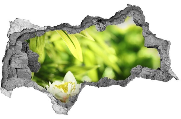 3d lyuk fal dekoráció Tavirózsa