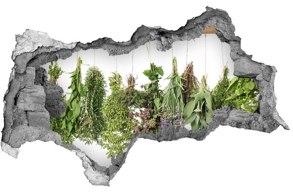 3d lyuk fal dekoráció Herbs egy húr