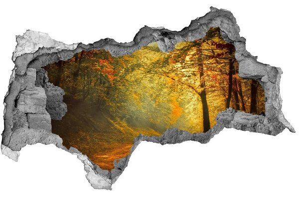3d lyuk fal dekoráció Erdő ősszel
