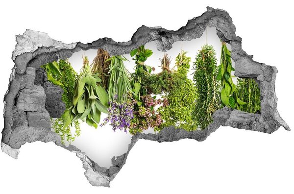 3d lyuk fal dekoráció Herbs egy húr