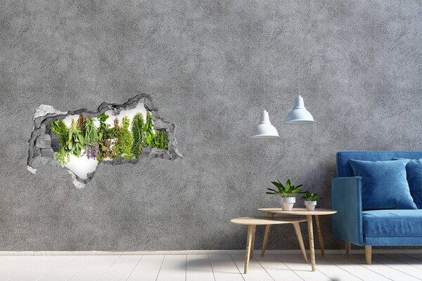 3d lyuk fal dekoráció Herbs egy húr