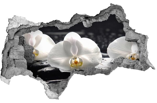 3d lyuk fal dekoráció Orchidea