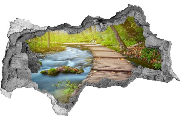 3d lyuk fal dekoráció Az út az erdőben