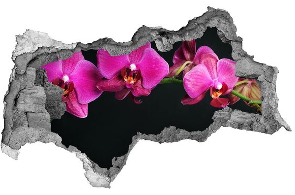 3d-s lyukat fali matrica Orchidea