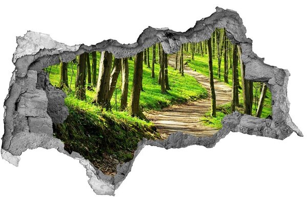 3d-s lyukat fali matrica Az út az erdőben