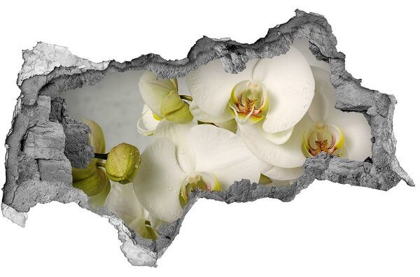 3d-s lyukat fali matrica Fehér orchidea