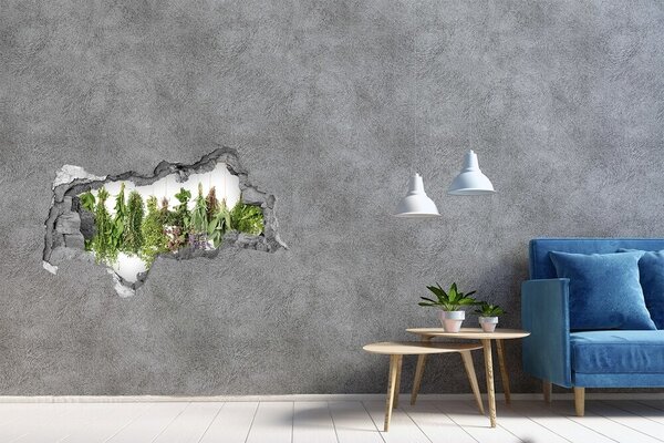 3d-s lyukat fali matrica Herbs egy húr