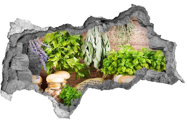 3d-s lyukat fali matrica Herbs egy húr