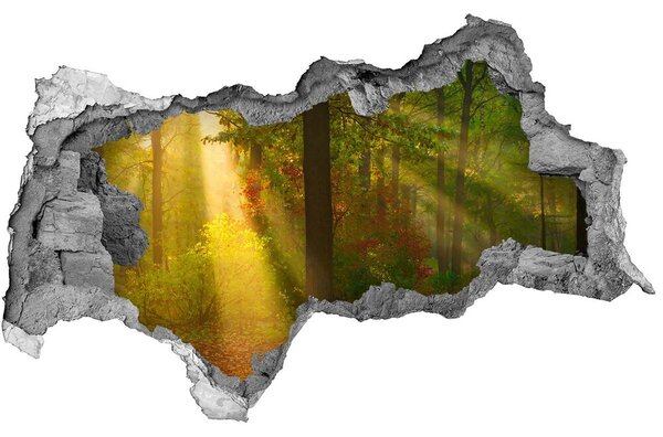 3d-s lyukat fali matrica Forest a nap