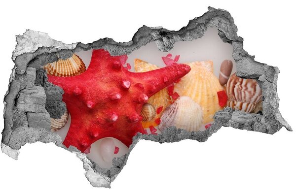 3d-s lyukat fali matrica Starfish és kagylók