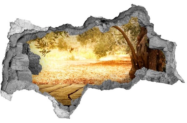 3d-s lyukat fali matrica Olajbogyó