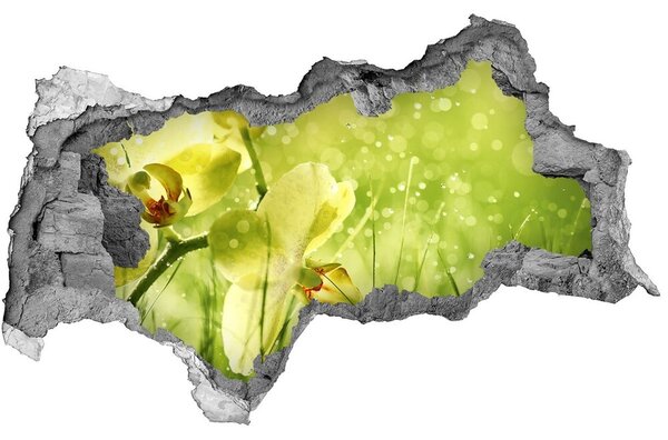 3d-s lyukat fali matrica Orchidea