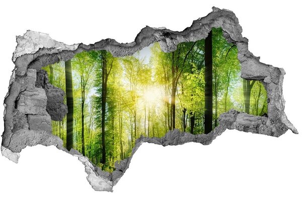 Lyuk 3d fali matrica Forest a nap