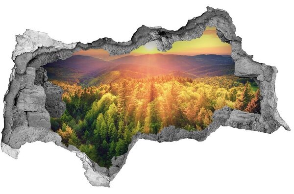 Lyuk 3d fali matrica Forest naplemente