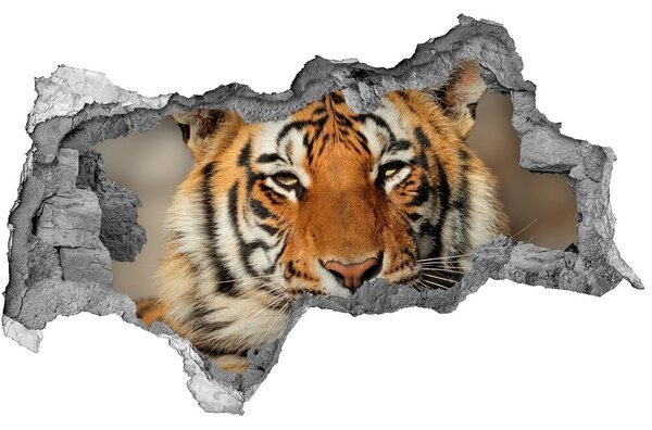Lyuk 3d fali matrica Bengáli tigris