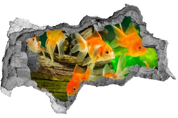 Lyuk 3d fali matrica Aranyhal