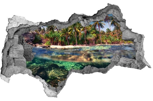 Lyuk 3d fali matrica Trópusi tengerpart