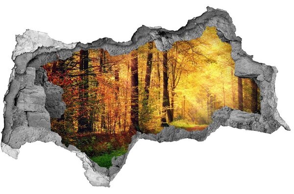 Lyuk 3d fali matrica Erdő ősszel