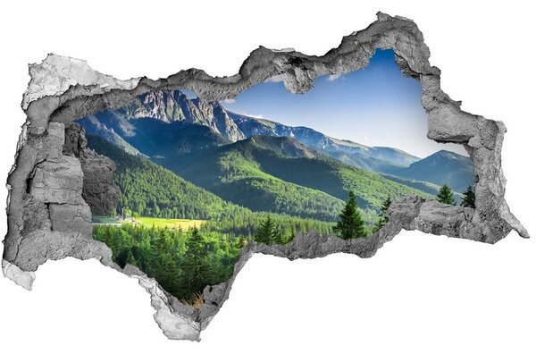 Lyuk 3d fali matrica A hegy a tátrában
