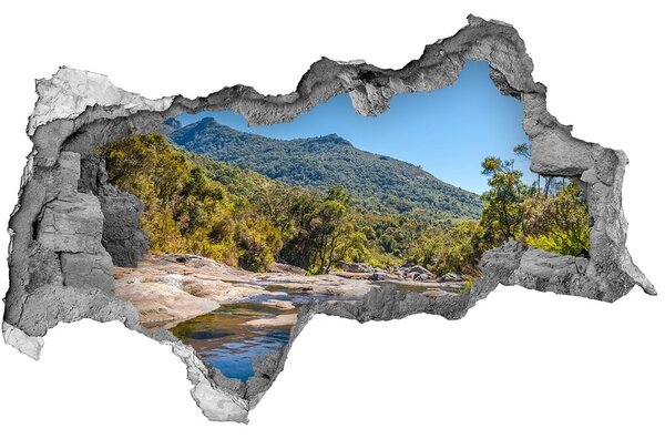 Lyuk 3d fali matrica Folyó az erdőben
