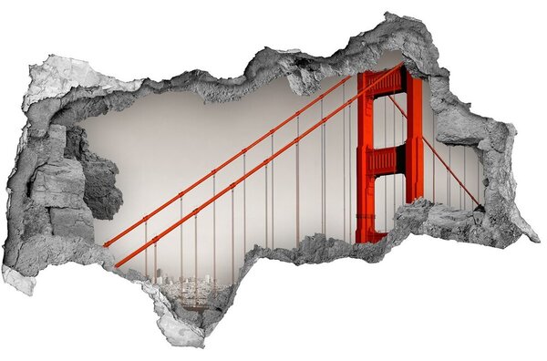 Lyuk 3d fali matrica Bridge san francisco