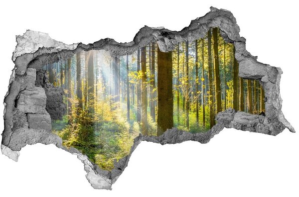 3d-s lyukat fali matrica Geometriai hullám