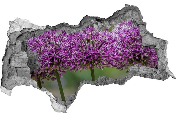 3d-s lyukat fali matrica Erdei tó