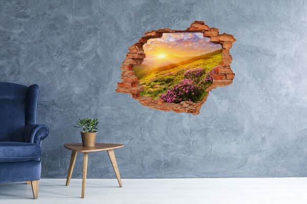 3d fali matrica lyuk a falban Sunset hegy